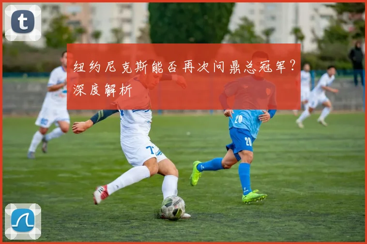 纽约尼克斯能否再次问鼎总冠军？深度解析
