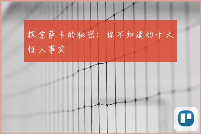 探索萨卡的秘密：你不知道的十大惊人事实