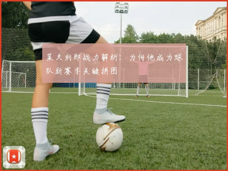 莱夫利即战力解析：为何他成为球队新赛季关键拼图