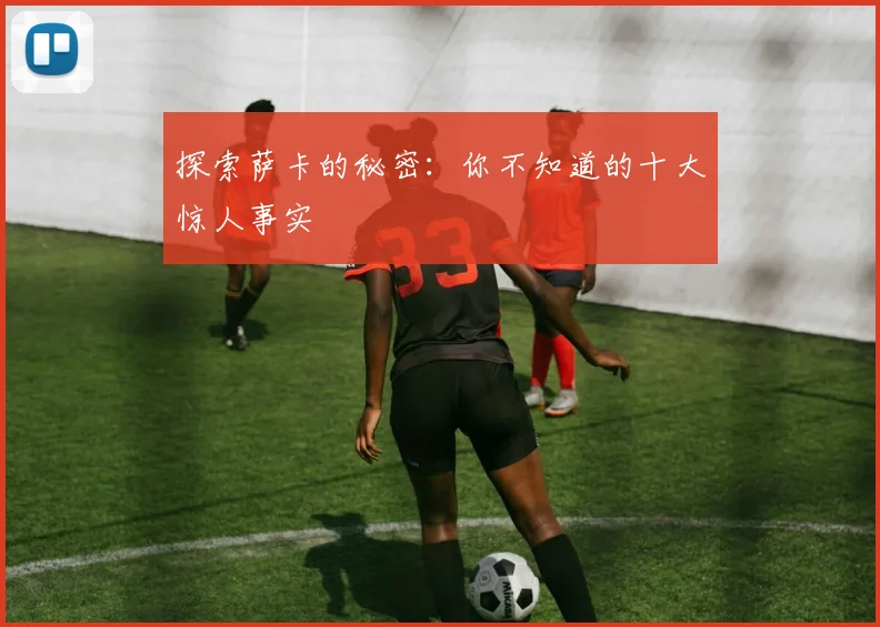 探索萨卡的秘密：你不知道的十大惊人事实